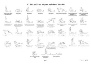 Libro Manual Práctico del Yoga Vinyasa Krama