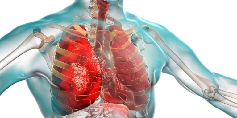 sincronizando su respiración lenta y controlada con el movimiento de sus brazos al elevarlos hacia el cielo, siguiendo la técnica tradicional de vinyasa krama, donde cada inhalación y exhalación guía el flujo de las posturas, mostrando la importancia del control consciente de la respiración en la práctica de asanas.